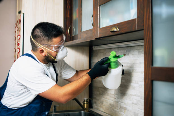 Best Emergency Pest Control  in Park Hills, MO