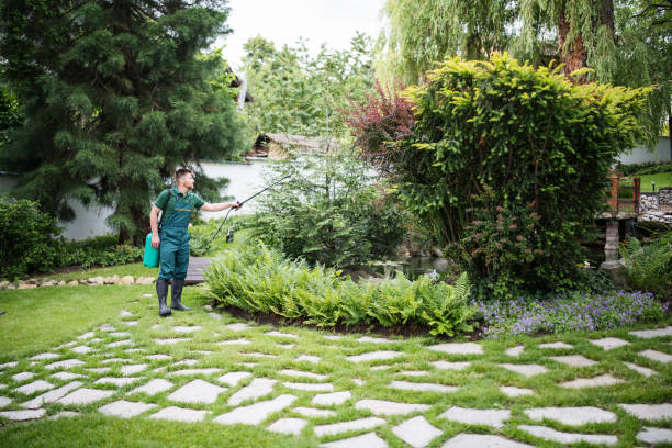 Best Pest Control for Businesses  in Park Hills, MO